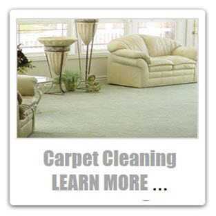 professional carpet cleaning stafford va